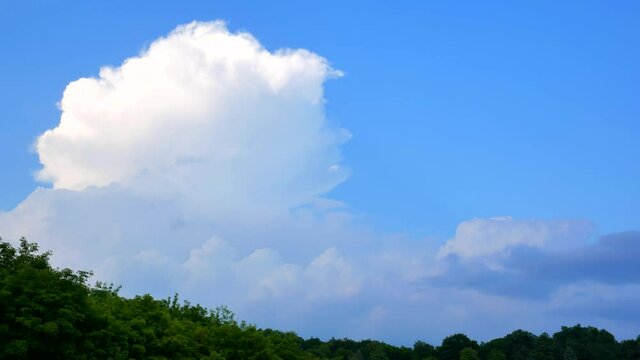 Massive rain clouds, cumulus congestus and cumulonimbus, forming in the blue sky