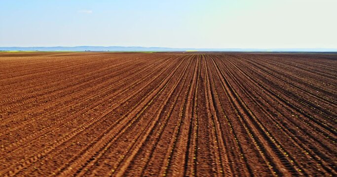 Drone shot of ploughed corn field