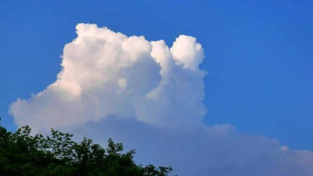 Massive rain clouds, cumulus congestus or towering cumulus, forming in the blue sky