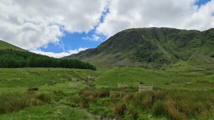 Fototapeta premium landscape with sky