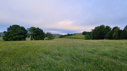 field and sky