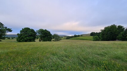 field and blue sky