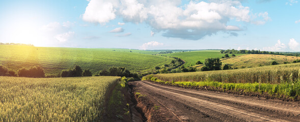 Summer landscape with green grass, road and clouds
