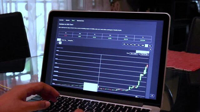 Women going through ADA 1 Year Candle Stick Charts on a Laptop