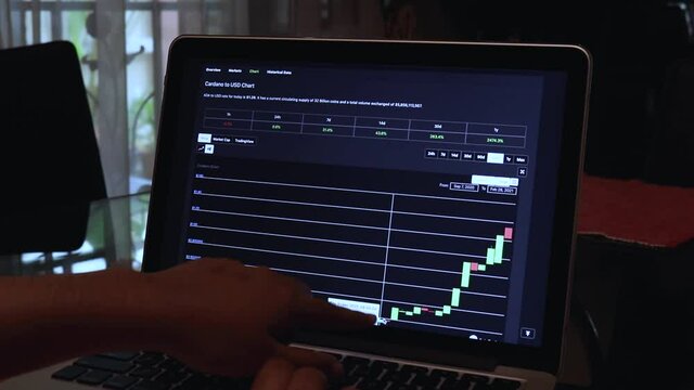 Women going through ADA 180 days Candle Stick Charts on a Laptop