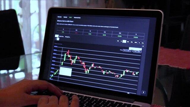 Women going through BNB 14 days Candle Stick Charts on a Laptop