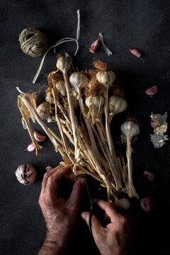Anonymous person with bouquet of fresh purple garlic