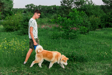 A young man walks in a summer park with a young puppy of a dog Akita Inu. The concept of friendship between a man and a dog.