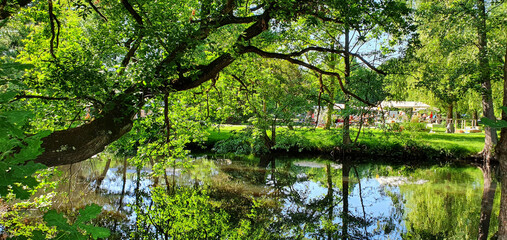 Fototapeta na wymiar Troisdorf Germany June 2021 Summer in the park with many green trees and a pond with water reflections in the sunshine