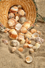 Seashells scatter from straw hat abandoned on sandy beach