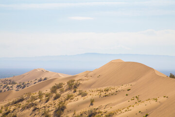Fototapeta na wymiar golden sand in the desert