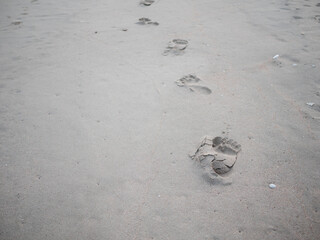 footprints in the sand