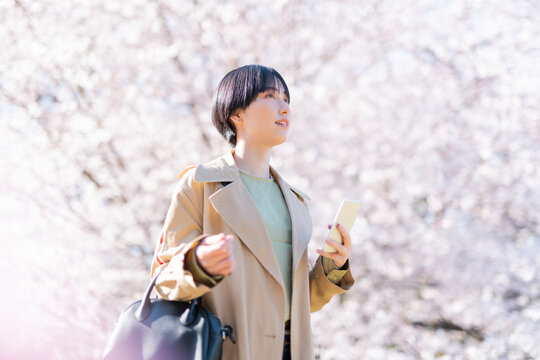 通勤中に桜を見る女性