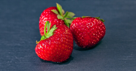 A still-life photo of fresh ripe strawberries or Fragaria ananassa on the grey backdrop. Three pieces with green stems and leaves. Natural products, harvest, nutrition, diet, indoor art decorations.
