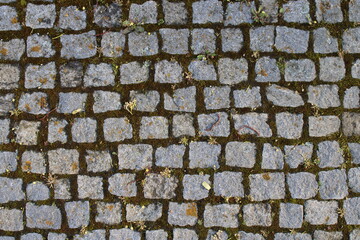 Obraz premium Cobblestone Ground with Moss Texture