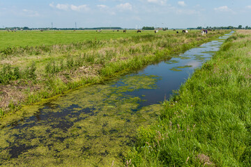 Nature area De Wilck