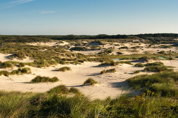 Landscape at the Zuidduinen