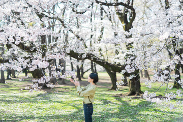 桜と女性のポートレート