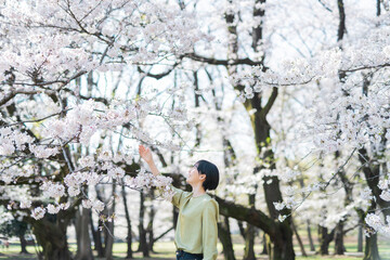 Fototapeta na wymiar 桜と女性のポートレート