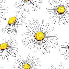 Chamomile seamless pattern