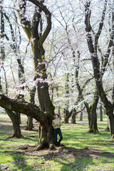 桜と女性のポートレート