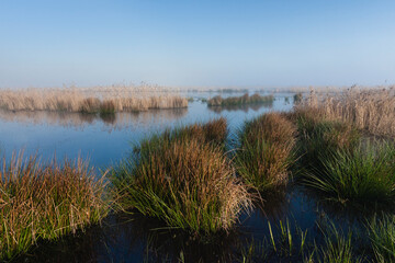 Landscape at Groene Jonker