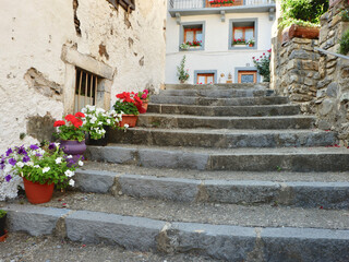 Stone staircase with colourful flowers in cozy village Sallent de Gallego, Huesca, Spain