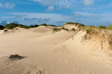 Dunes at the Zuidduinen
