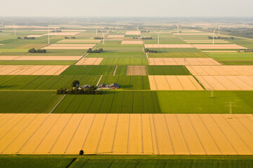 Obraz premium Landschap van Noord-Holland; Landscape of Noord-Holland