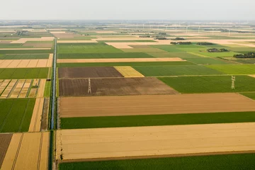 Foto op Plexiglas Landschap van Noord-Holland  Landscape of Noord-Holland © AGAMI