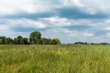 Foto op Plexiglas Landscape at Nationaal Park de Weerribben in summer © AGAMI