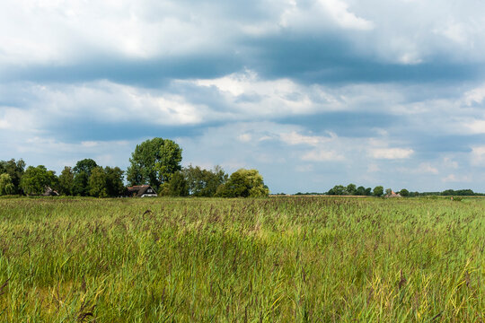 Landscape at Nationaal Park de Weerribben in summer