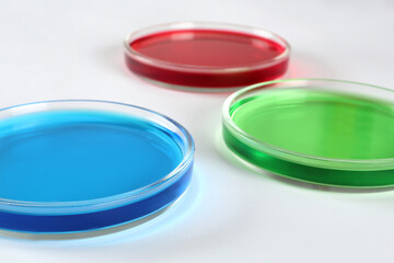 Petri dishes with colorful liquids on white background, closeup