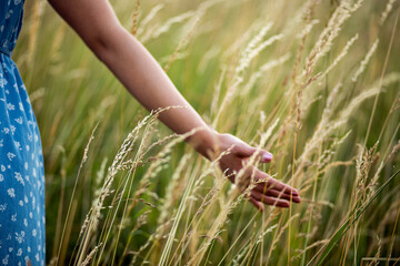 Female hand touching the grass on a summer meadow 