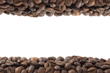 coffee beans stripes isolated in white background