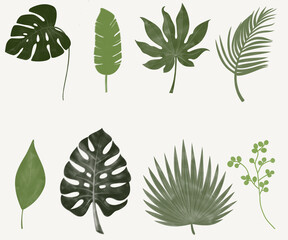 set of green leaves.plants. trend. design element. print. textile. popular pattern. tropics. green color