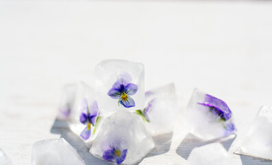 Floral ice cubes on the gray background. Edible flowers frozen in ice. Horizontal with space for text.