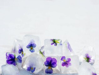 Floral ice cubes on the gray background. Edible flowers frozen in ice. Horizontal with space for text.