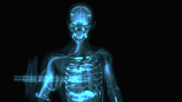 4K abstract anatomy of a X-ray man doing Biceps Curls