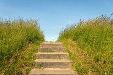 Fototapeta na wymiar Concrete stairs between blooming grass. The photo was taken near a dike in the Dutch province of Zeeland. It is a sunny day with a blue sky at the end of the spring season.