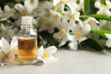 Obraz na płótnie Canvas Jasmine essential oil and fresh flowers on light grey table, space for text