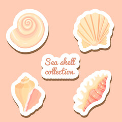 Set of conch flat cartoon vector Illustration. Colorful tropical beach shell underwater icon. Aquatic nature. Sticker collection.