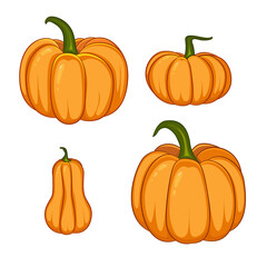 Vector set of orange pumpkins on white background.