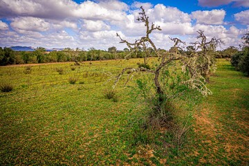 landscape with sky and clouds