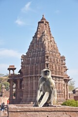 group of Temple in the Mandore garden,Jodhpur,rajasthan,india,asia