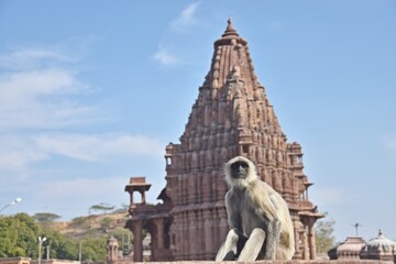 Obraz premium group of Temple in the Mandore garden,Jodhpur,rajasthan,india,asia