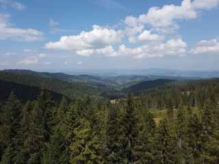 Green mountain valley covered in forest with small hills in the background