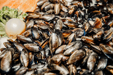 Closeup fresh farm mussels on table, sea market