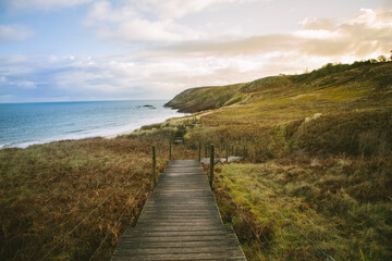 Fototapeta na wymiar Wooden path to a beach in Brittany