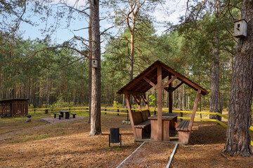 Recreation area with a playground in the forest near the road. Autumnal pine forest landscape. Coniferous woodland. Rest zone.